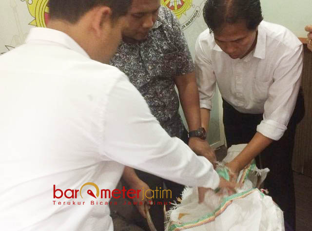 Pria Papua Diamankan Polisi Gara-gara Dua Tanduk Rusa