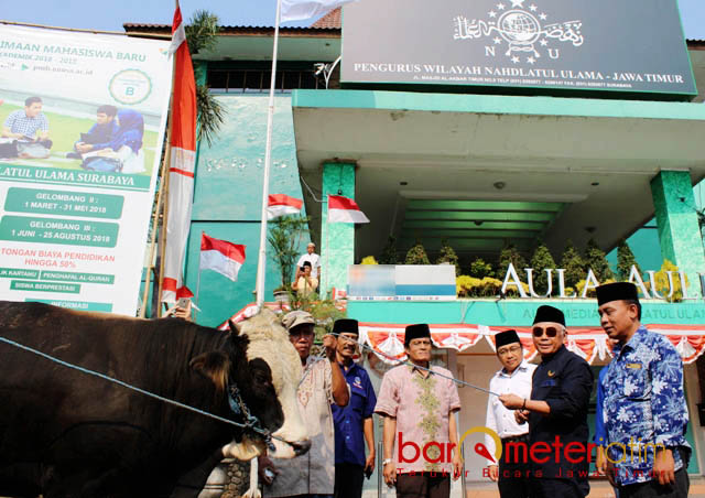 Nasdem Bantah Tarik Simpati Warga NU Lewat Sapi Kurban