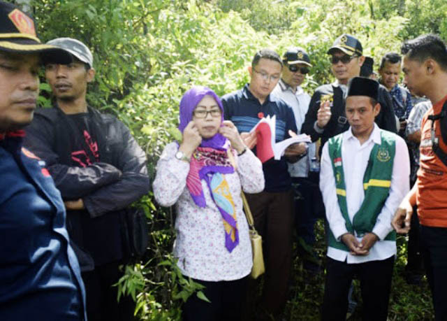 Kasus Perusakan Hutan Lindung, Aktivis Kecewa Tuntutan JPU