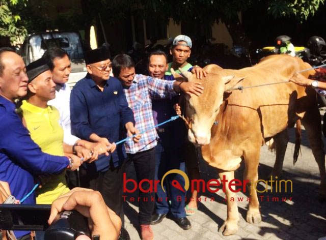 Berbagi 12 Sapi Kurban, Nasdem Tepis Terkait Pemilu 2019