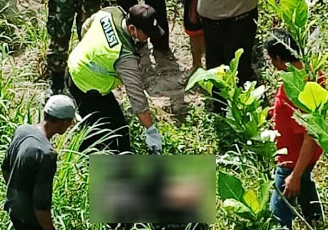 Buru Pembunuh Mayat Dalam Koper, Polda Periksa 12 Saksi