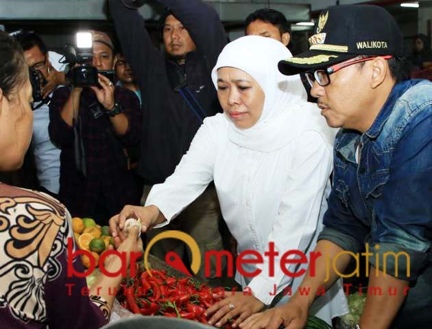 Harga Meroket 84.600 Ton Bawang Putih Akan Masuk Jatim