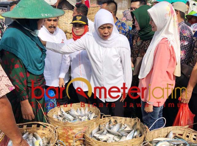 Harga Ikan Bandeng Anjlok Khofifah Atasi dengan 4 Strategi