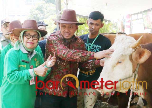 Idul Adha, Disnak Jatim Sebar 2.250 Petugas Kesehatan Hewan
