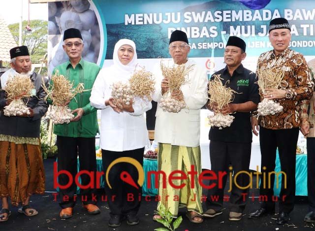 Swasembada Bawang Putih, Jatim Berpacu dengan Impor