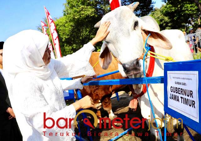 Daging Kurban, Khofifah: Pakai Besek Gerakkan Sektor UKM
