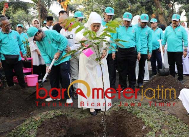 Tanam Matoa, Khofifah Kirim Pesan Persaudaraan ke Papua