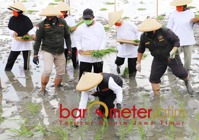 Cegah Krisis Pangan Khofifah Percepat Masa Tanam 5 Wilayah