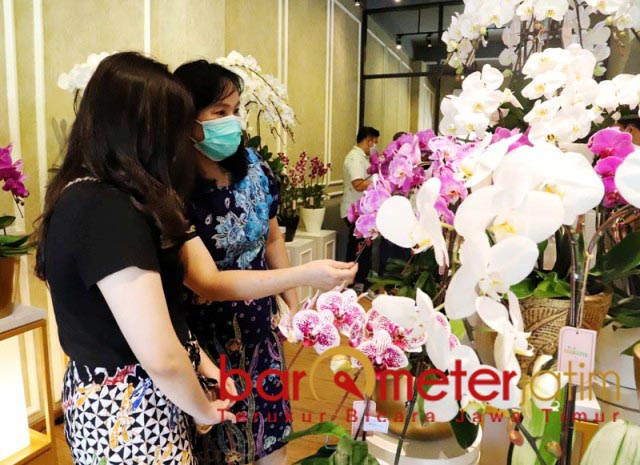 Hadir di Surabaya, Von Florist Tawarkan Anggrek Berkelas