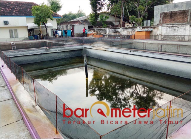 Budidaya Udang Dicap Ilegal DKP Jatim Bantah Habis-habisan