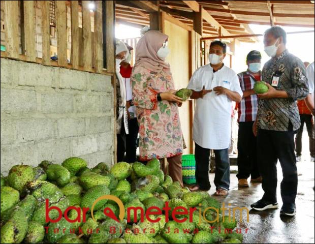 Frozen Fruit Banyuwangi Tembus Pasar Jakarta hingga Mataram
