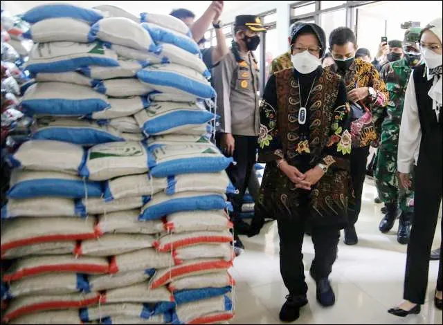 Risma: Beras Rusak Volumenya Kecil, Langsung Diganti Baru