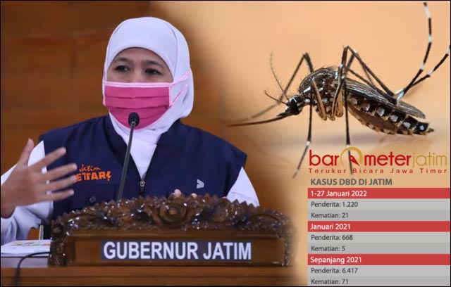 1.220 Orang di Jatim Diserang DBD, 21 Meninggal, Apa Upaya Khofifah