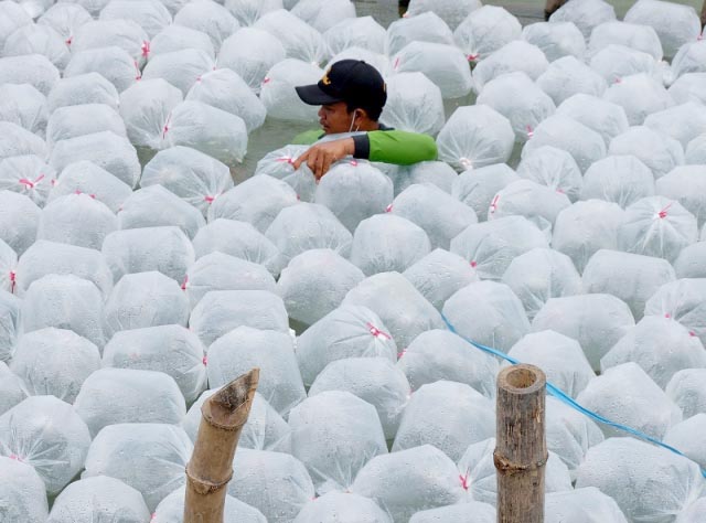 Eri Cahyadi Target MBR di Surabaya Turun dari 979.624 Jadi 300 Ribu Jiwa, Gimana Caranya