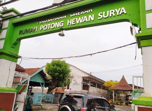 Jatim Diserang Penyakit Mulut dan Kuku, RPH Surabaya Perketat Dokumen Hewan