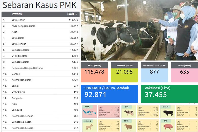 Wabah Penyakit Mulut dan Kuku Sasar 19 Provinsi, Terbanyak di Jawa Timur