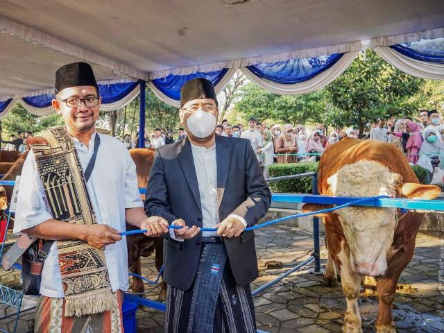 Kurban di Tengah Intaian PMK, Anwar Sadad: Tak Surutkan Masyarakat, Justru Lebih Banyak