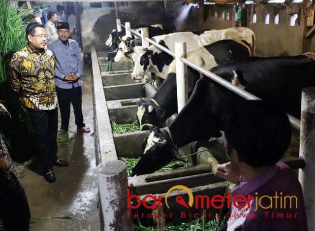 Khofifah Pergi Haji, Anwar Sadad: Emil Dardak Harus Berani Tetapkan PMK sebagai Bencana