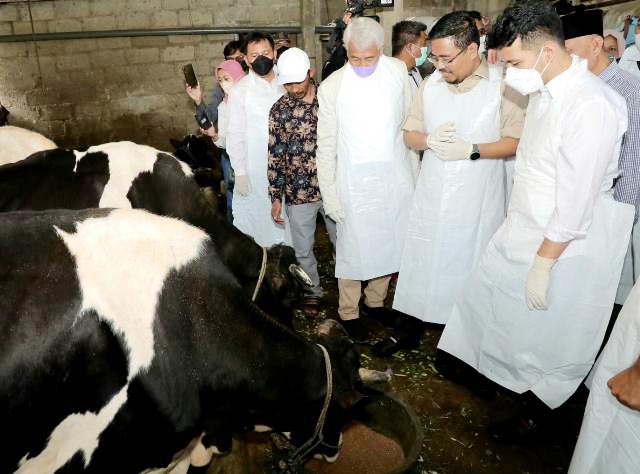 Kompak Banget Emil Dardak-Anwar Sadad Turun ke Pasuruan Tinjau Sapi Terpapar PMK