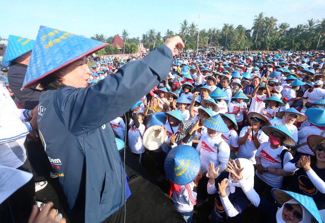 Kenduri Bahari, Nasdem Jatim Tanam Ribuan Mangrove hingga Larung Sesaji di Banyuwangi