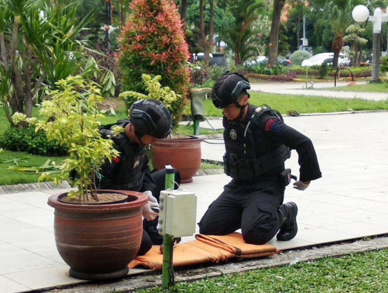 Granat Nanas Hebohkan Pemkot Surabaya, Bakesbangpol: Tak Ada Masalah dengan Keamanan!