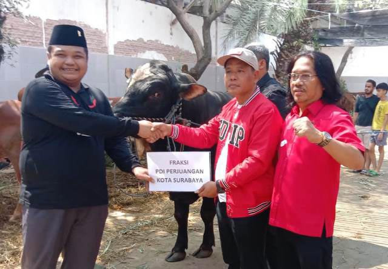 PDIP Surabaya Kurban 14 Sapi, Adi Sutarwijono: Idul Adha Momen Perkuat Gerakan ke Akar Rumput!