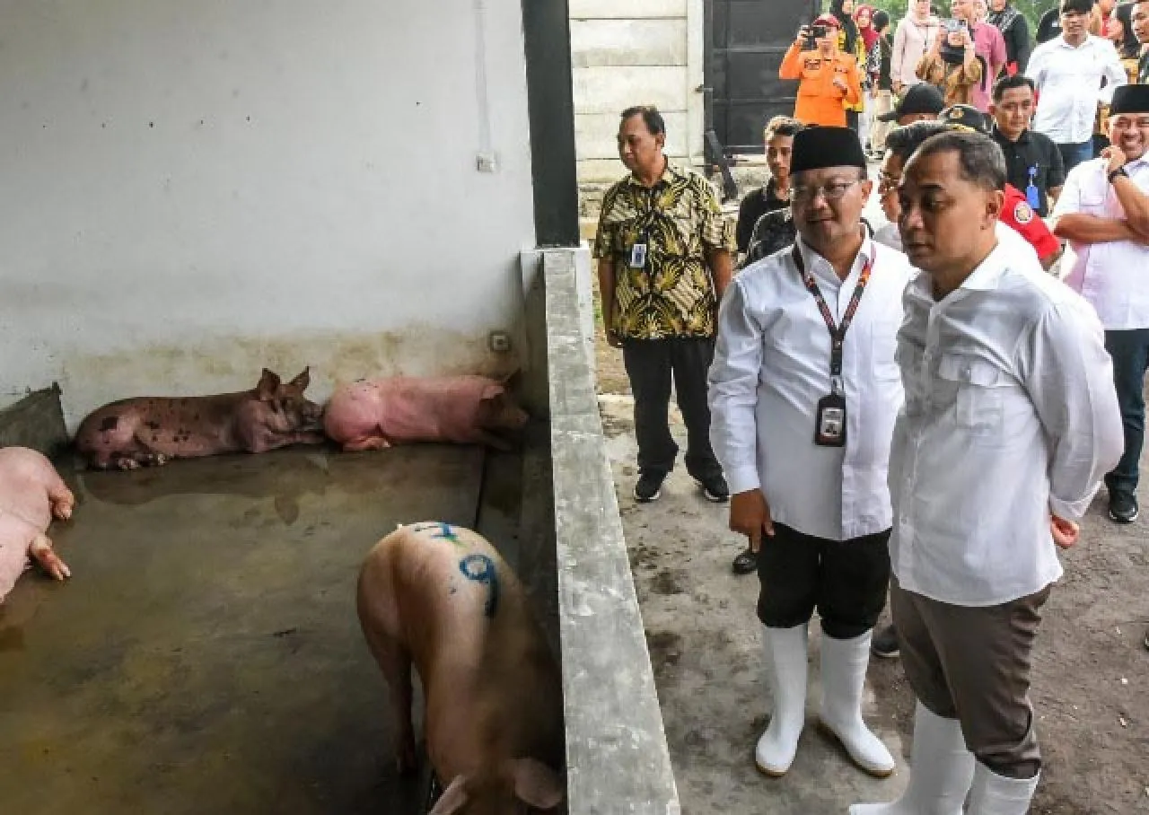 Eri Cahyadi Tantang Dirut RPH Surabaya Potong 500 Ekor Babi per Malam
