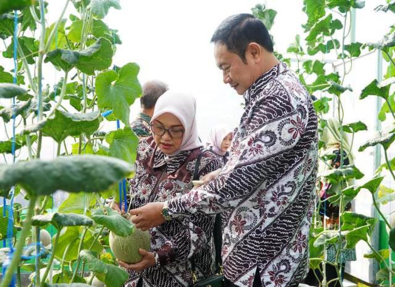 Pertahankan Predikat Lumbung Pangan Nasional, Lamongan Dukung Diversifikasi Pertanian