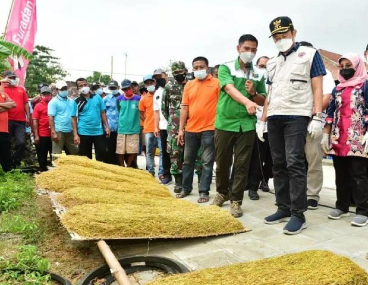 Luas Tanam Tembakau di Lamongan Meningkat, 4 Faktor Ini Jadi Pendukung!