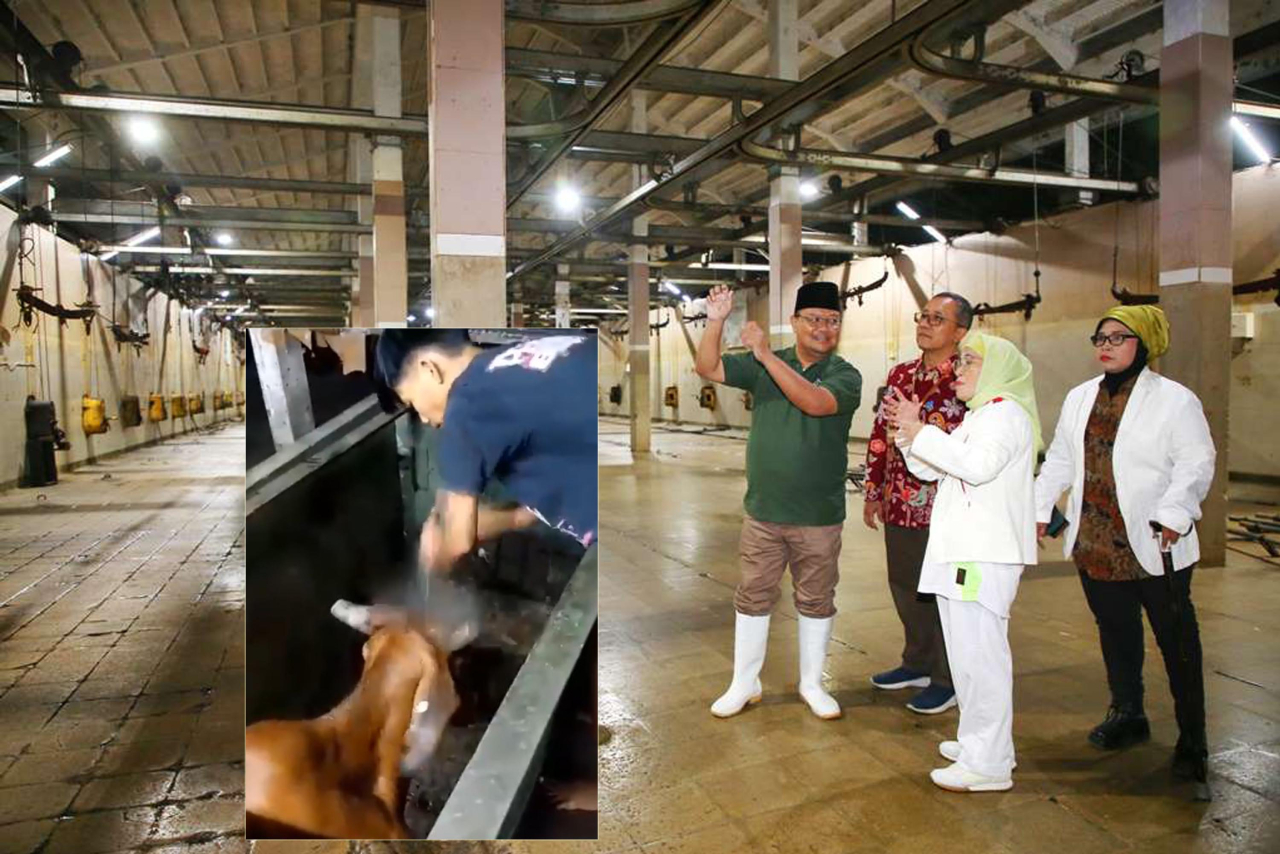Diguncang Video Penyembelihan Sapi Ditembak di RPH Surabaya, Pjs Wali Kota Angkat Bicara!