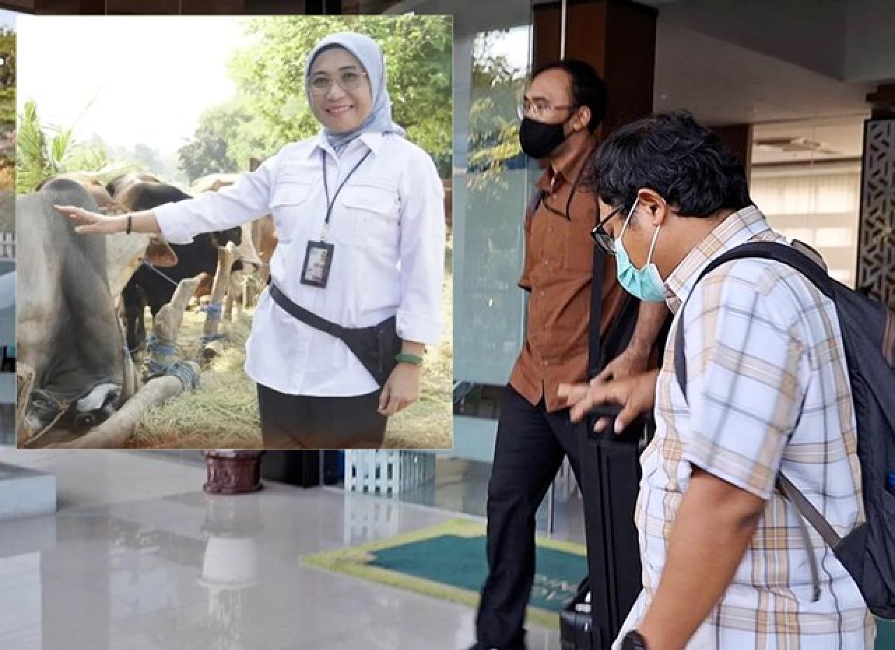 Kantornya Diubek-ubek KPK Terkait Kasus Korupsi Hibah, Ke Mana Kepala Disnak Jatim?