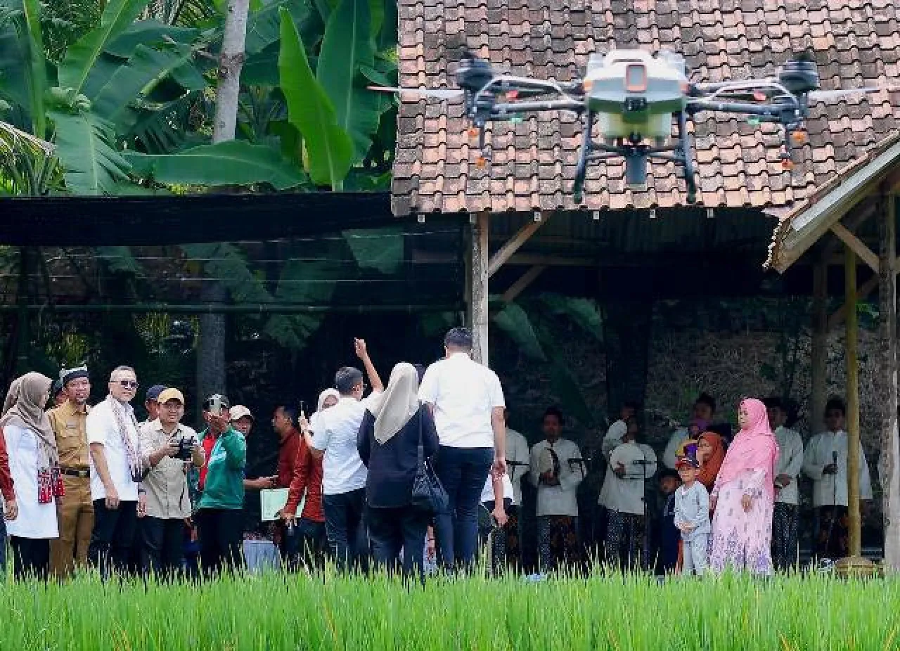 Banyuwangi Sukses Regenerasi Petani, Zulhas: Tularkan ke Daerah Lain!
