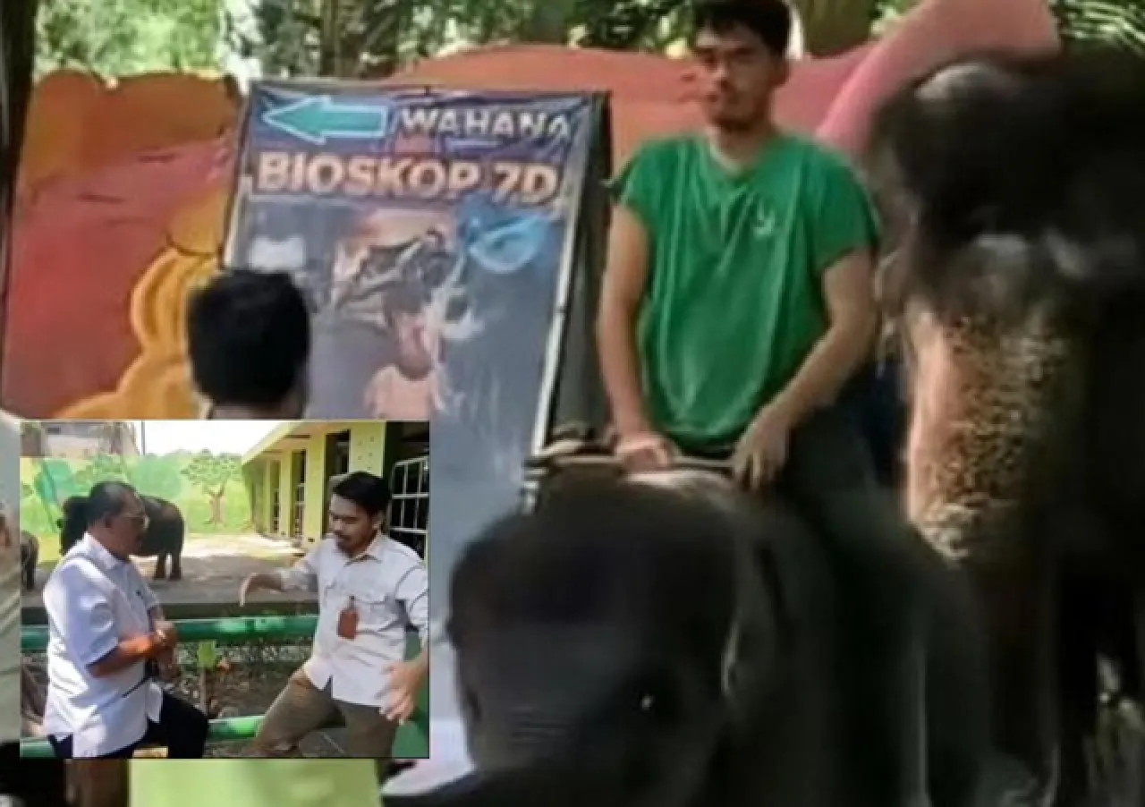 Gaduh Pawang Tunggangi Anak Gajah KBS, Eri Cahyadi: Bukan Eksploitasi Satwa!