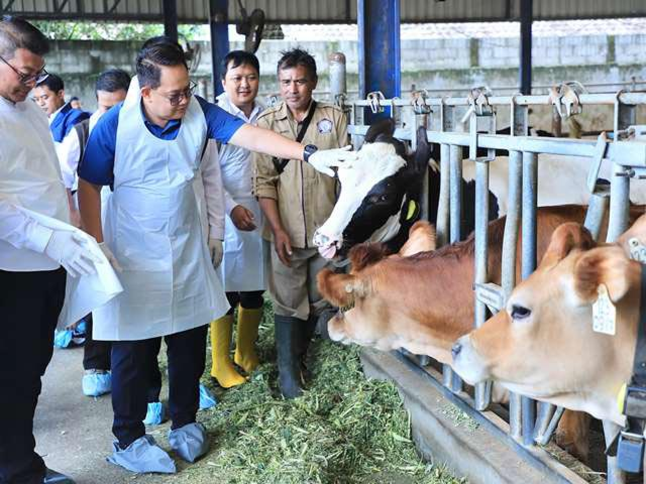 Jatim Butuh 7 Juta Vaksin Perangi PMK, Adhy Karyono Minta Koperasi Vaksinasi Mandiri!