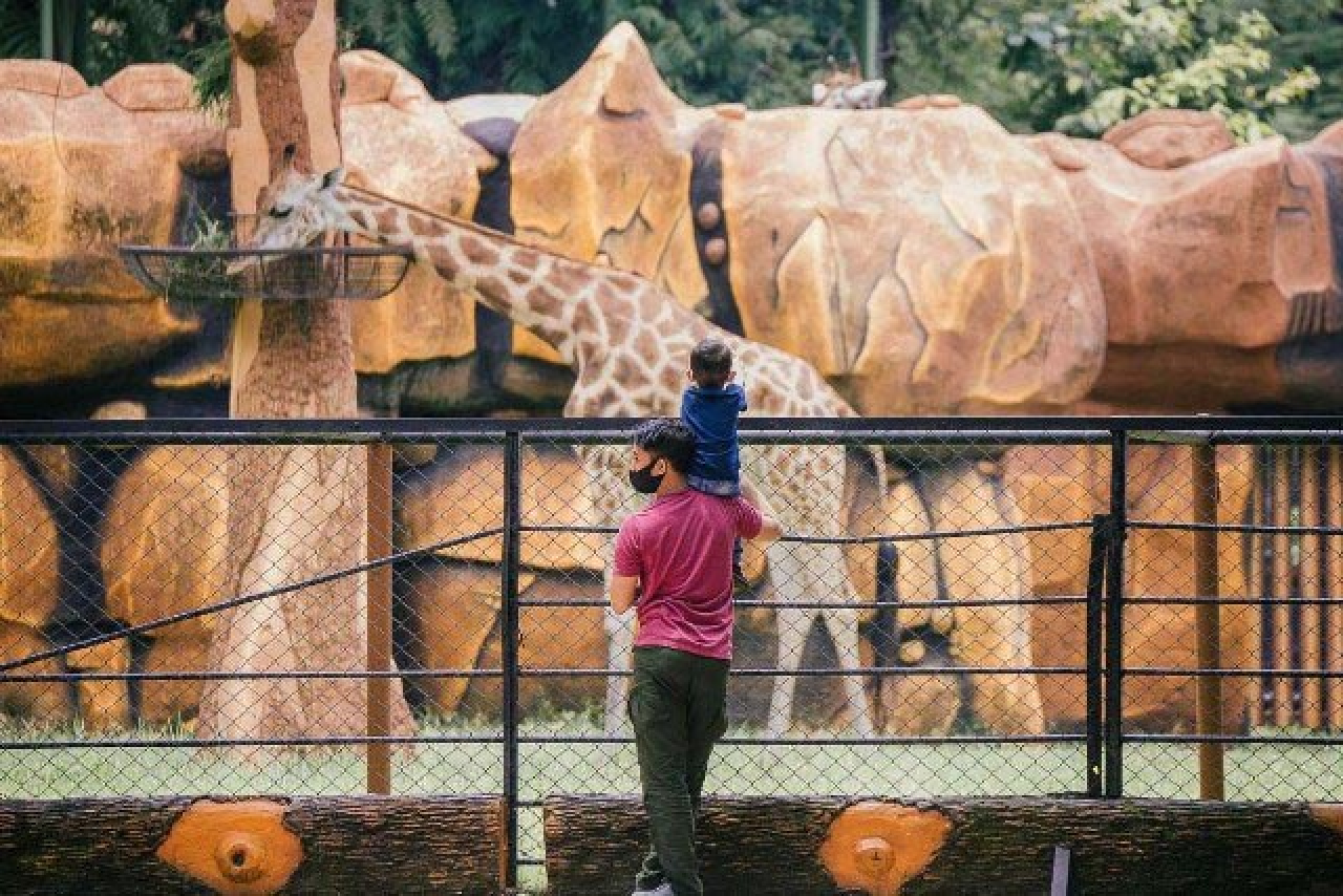 KBS Masih Primadona Wisata Keluarga, Libur Lebaran Dibanjiri 72,5 Ribu Wisatawan!