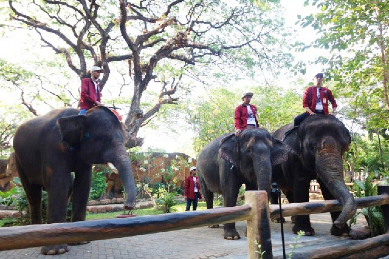 Libur Lebaran di Surabaya, Ini Perintah Eri Cahyadi untuk Direktur Tempat Wisata!