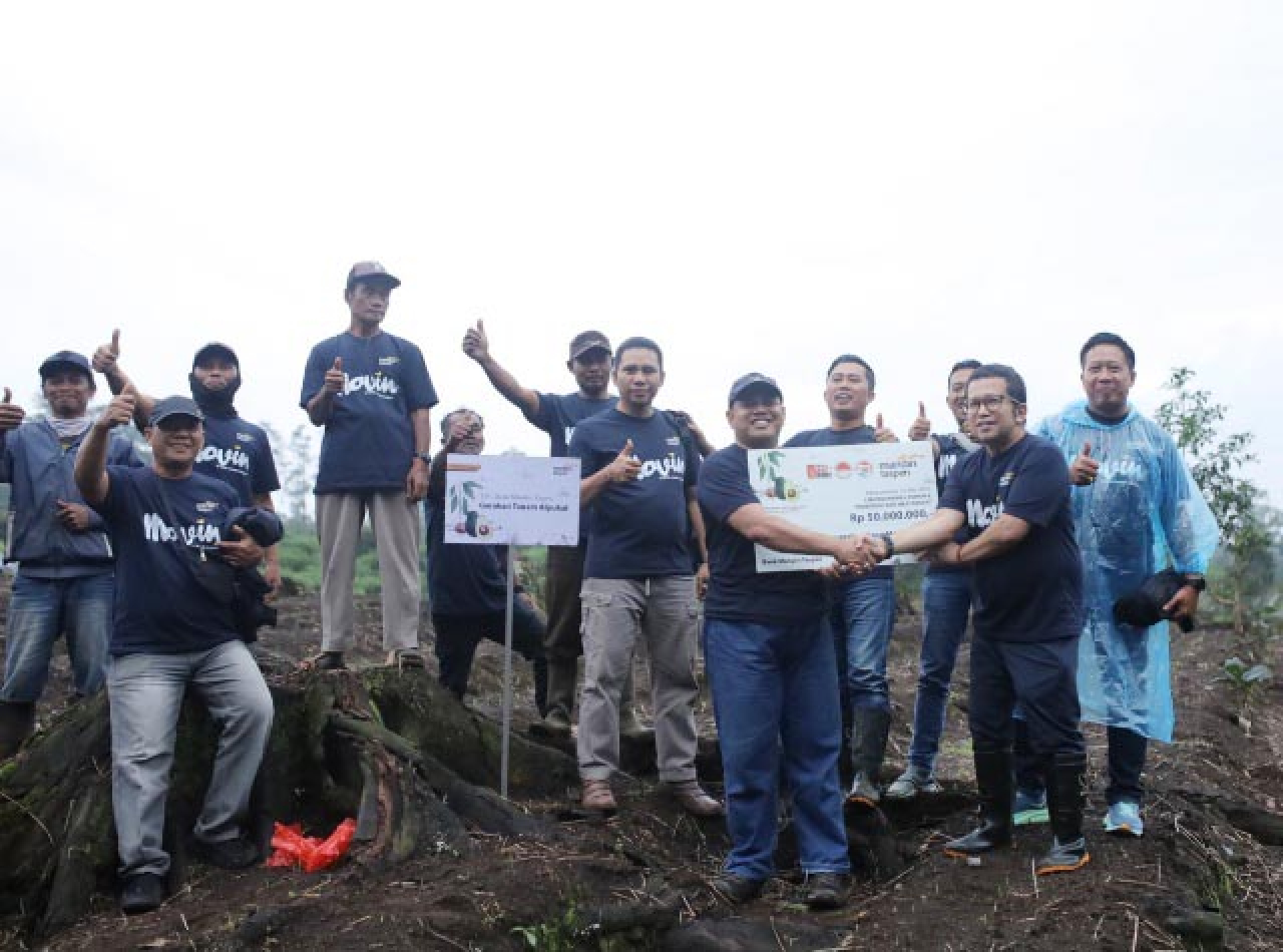 Bank Mandiri Taspen Tanam 450 Bibit Alpukat Aligator di Banyuwangi, Hasil Panen untuk Warga!