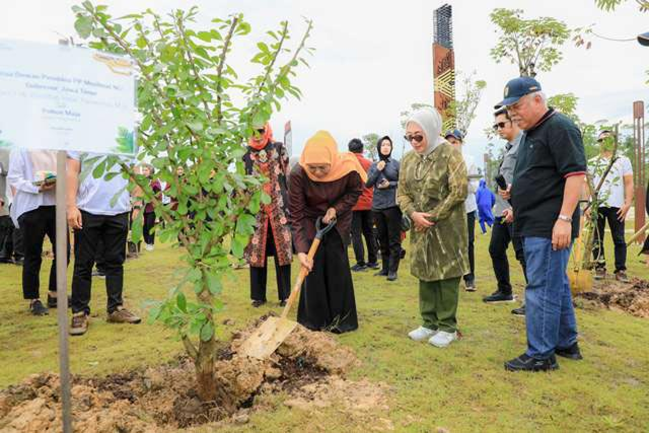 Khofifah Tanam 8 Pohon Maja di IKN, Apa yang Ingin Dicapai?