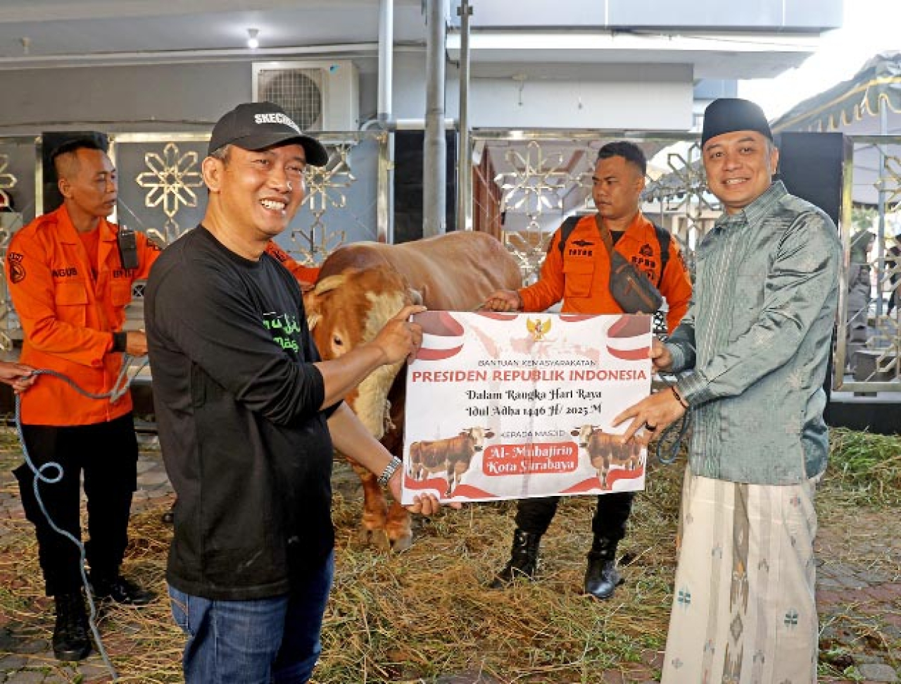 Sapi Kurban Prabowo Agresif sebelum Disembelih, Eri Cahyadi: Sehat dan Kuat!