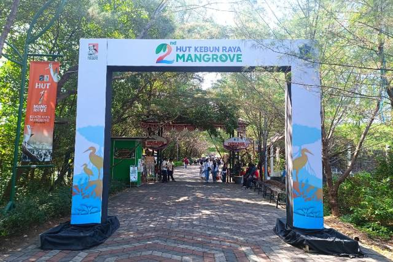 Baru Berusia 2 Tahun, Kebun Raya Mangrove Surabaya Berprestasi Level Dunia!