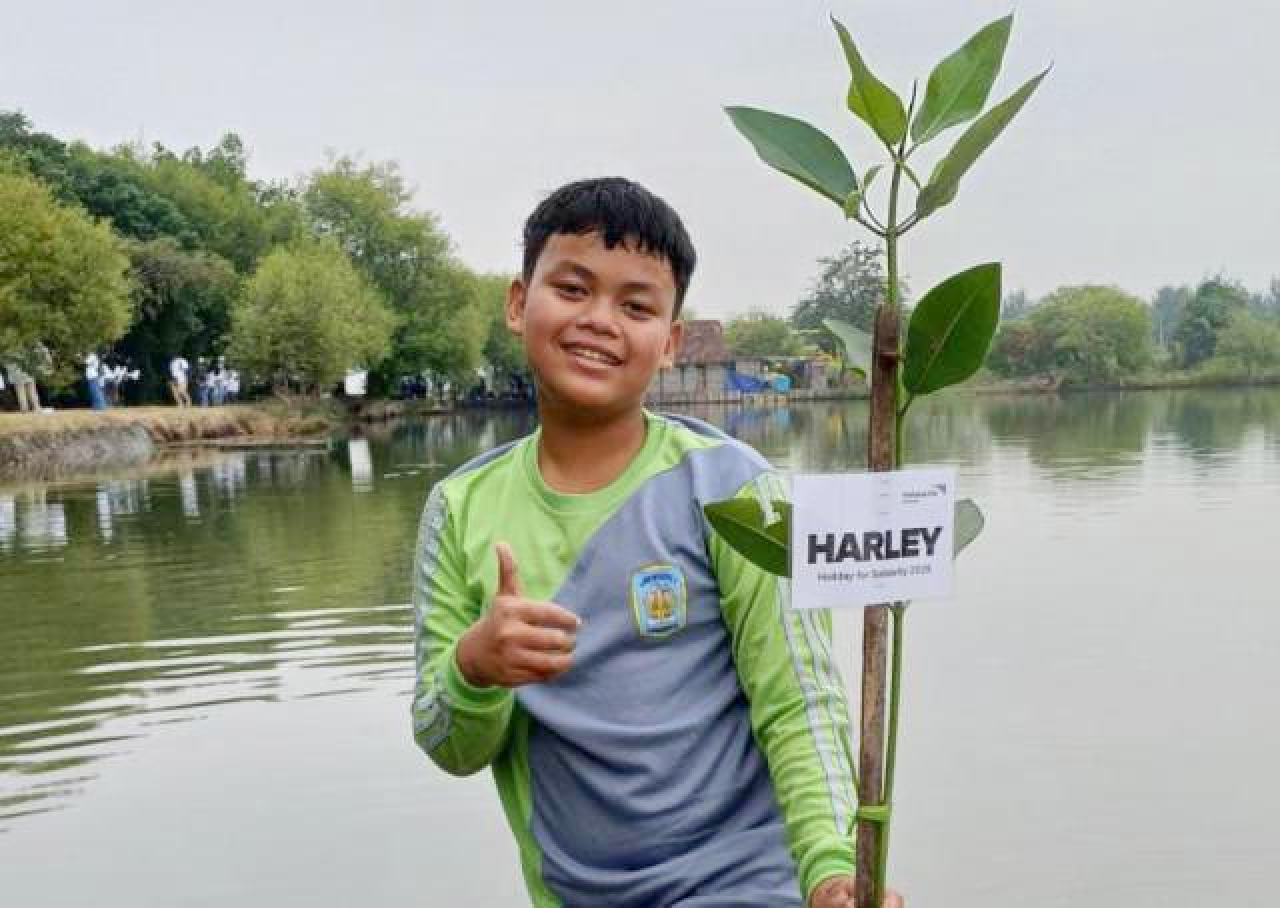 Harley Fatahillah, Bocah 13 Tahun Inisiator Gerakan Konservasi Mangrove Warrior