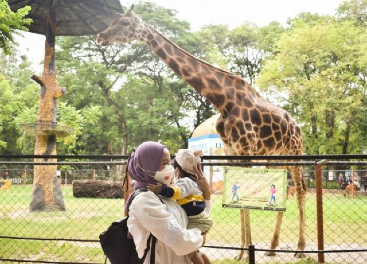 Virus Super Flu Sasar 8 Provinsi, Eri Cahyadi Cegah Masuk Surabaya!