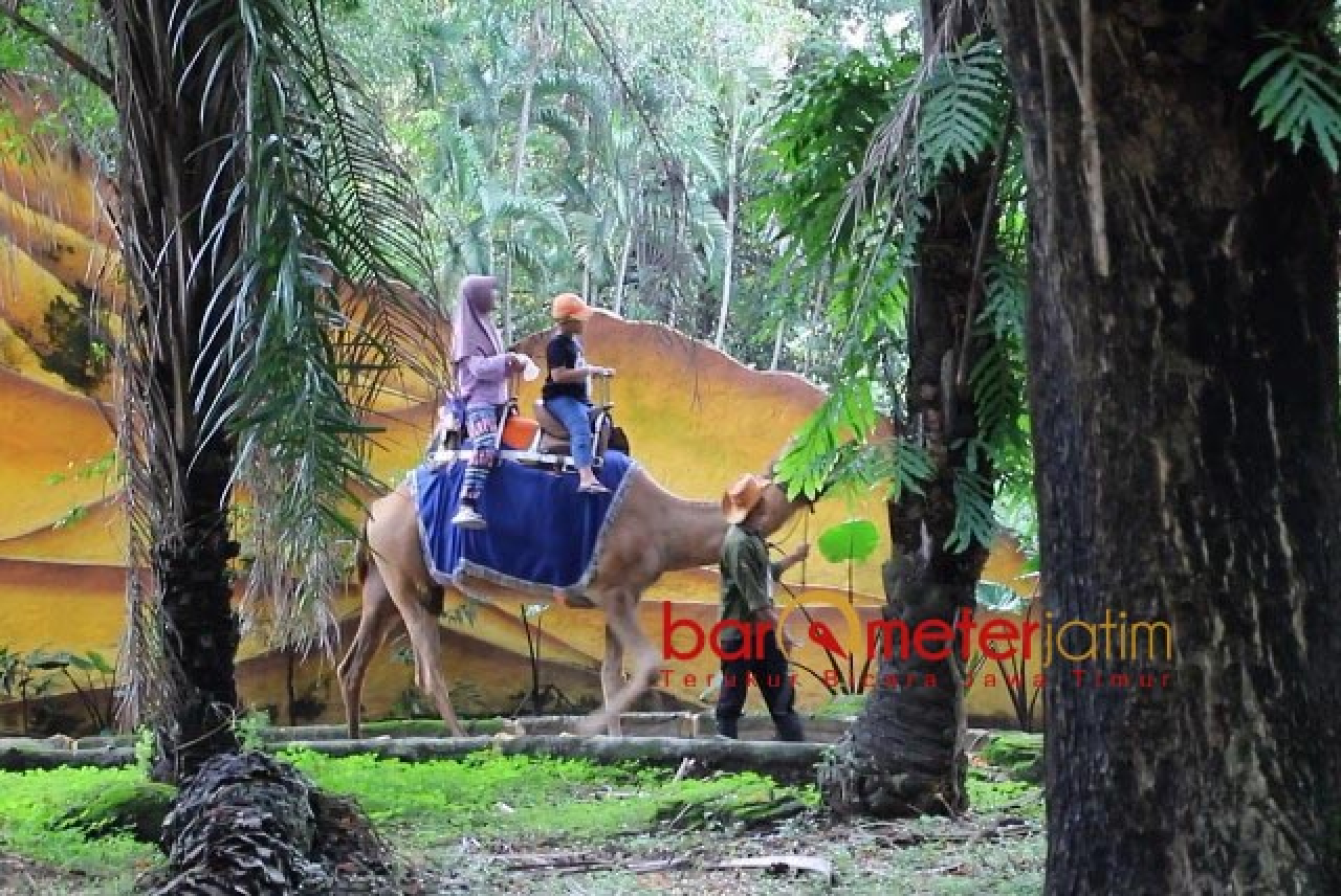 Digeledah Kejati Jatim Terkait Dugaan Korupsi, Operasional KBS Tetap Jalan!