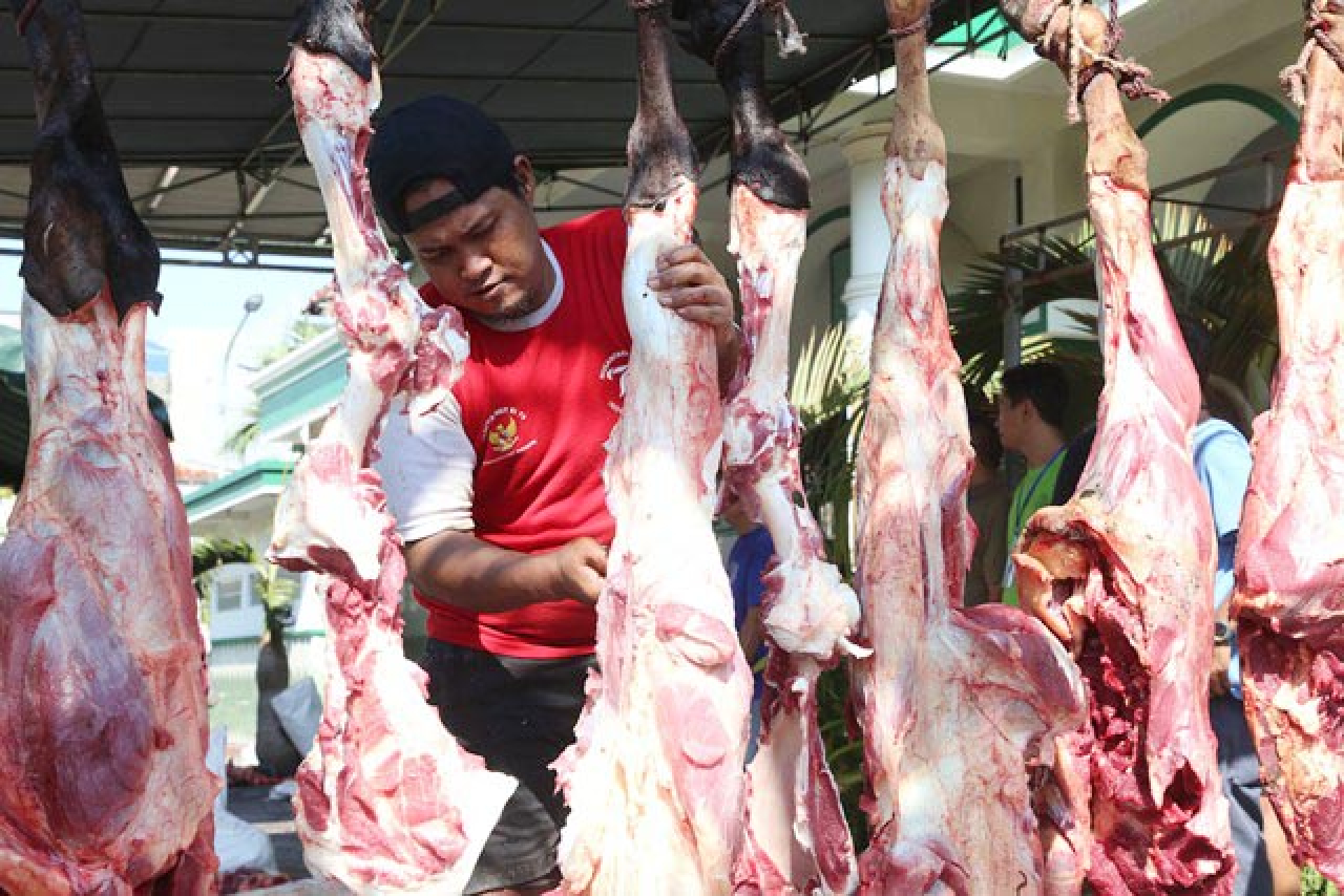 Ditemukan Cacing Hati Hewan Kurban di 20 Lokasi, DKPP Surabaya: Tak Perlu Khawatir!